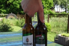 Veltins