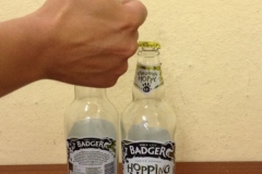 Badger