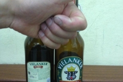 Vielanker