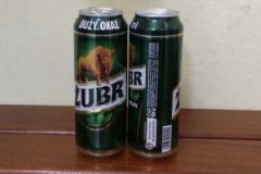 Zubr