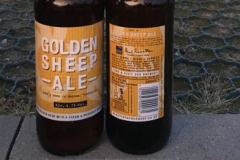 Golden Sheep