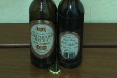 Steinhuder Hecht