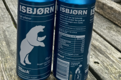 Isbjorn