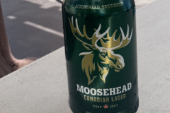 Moosehead