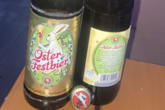 Hasen Augsburg