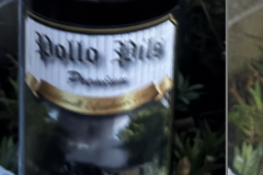 Pollo